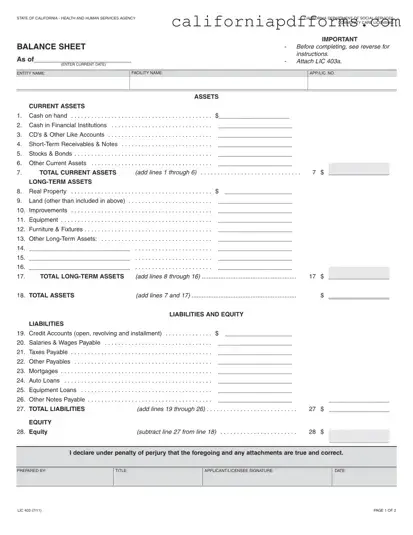 Download California Balance Sheet Form